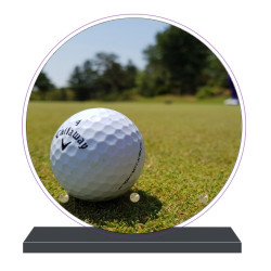 PLAQUE FUNÉRAIRE GOLF GOLFEURS RONDE 20 cm X 20 cm FPF10109