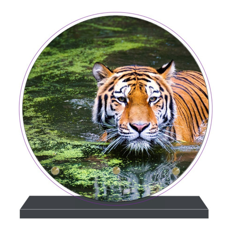 PLAQUE FUNÉRAIRE ANIMAUX TIGRE RONDE 20 cm X 20 cm FPFNX102