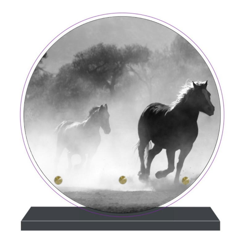 PLAQUE FUNÉRAIRE CHEVAUX SAUVAGES RONDE 20 cm X 20 cm FPFNX104