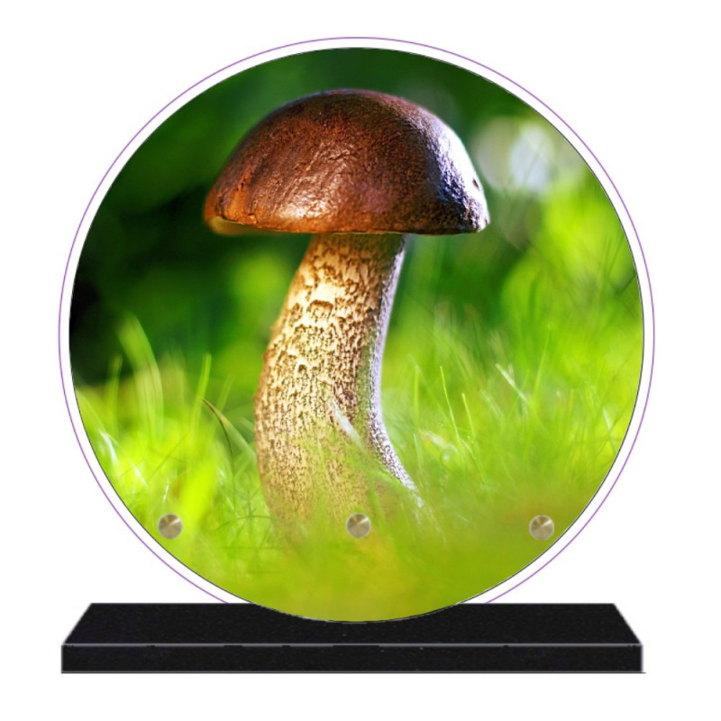 PLAQUE FUNÉRAIRE CHAMPIGNONS RONDE 20 cm X 20 cm FPFNX301