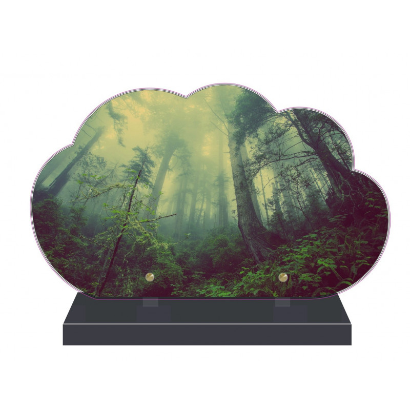 PLAQUE FUNÉRAIRE NUAGE 35 cm X 21 cm NATURE FORÊT FPF2163