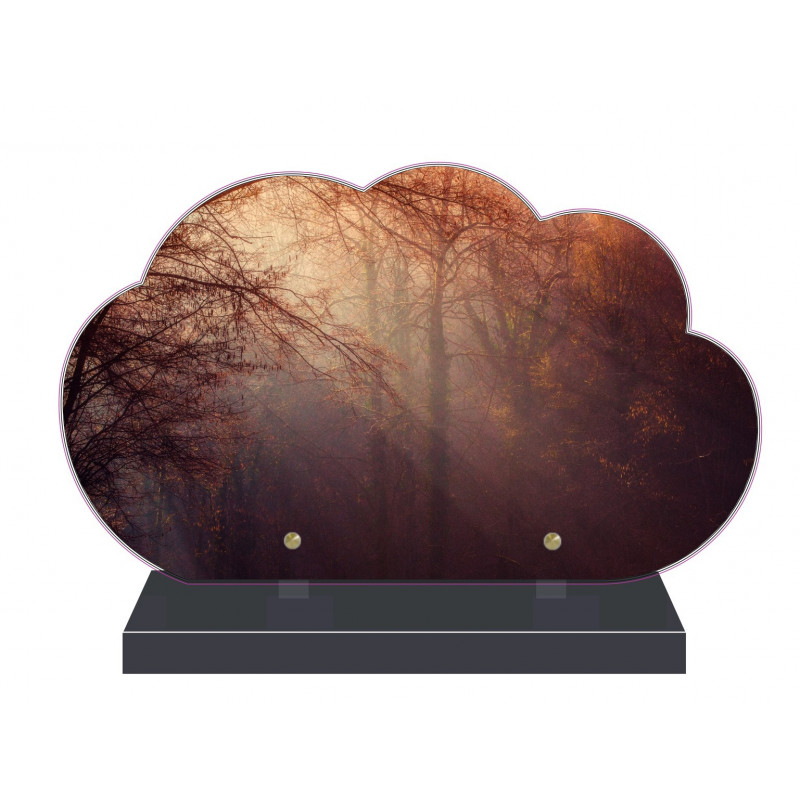 PLAQUE FUNÉRAIRE NUAGE 35 cm X 21 cm FORÊT SOUS BOIS FPF2168