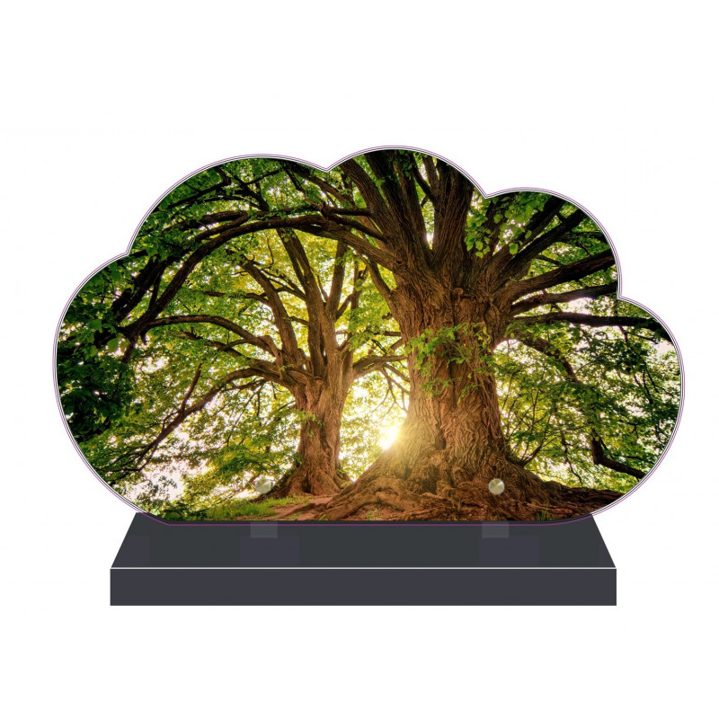 PLAQUE FUNÉRAIRE NUAGE 35 cm X 21 cm FORÊT SOUS BOIS FPF2170