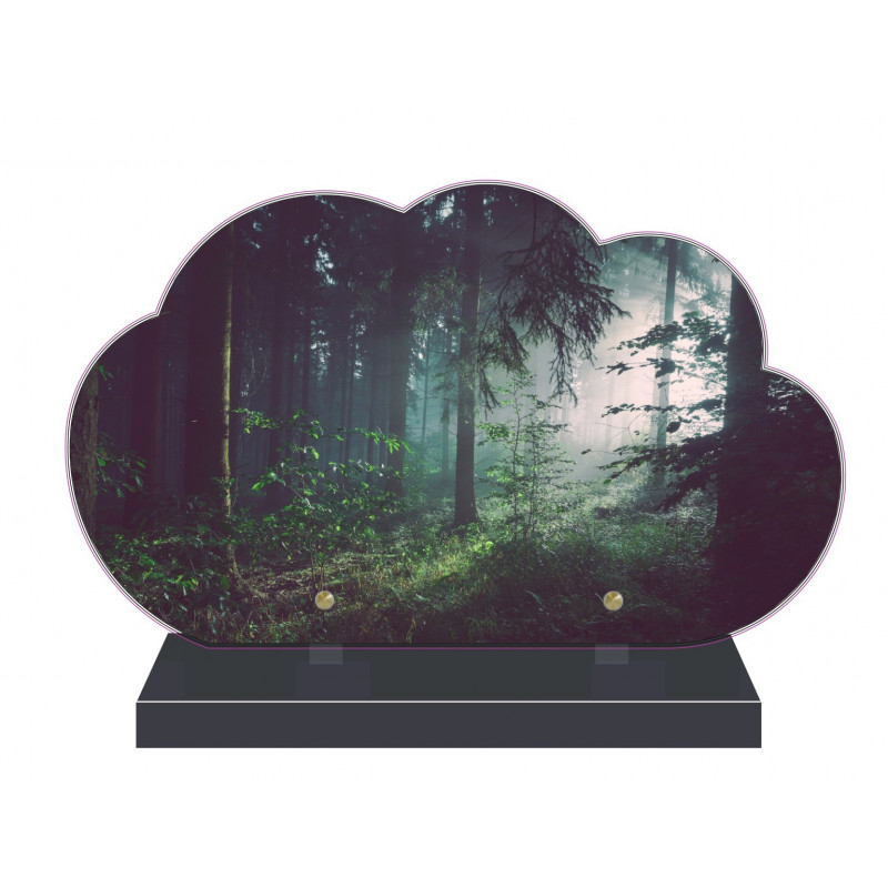 PLAQUE FUNÉRAIRE NUAGE 35 cm X 21 cm FORÊT SOUS BOIS FPF2172