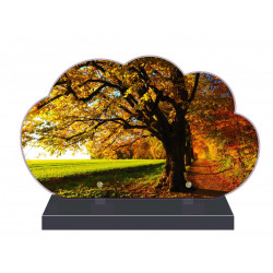 PLAQUE FUNÉRAIRE NUAGE 35 cm X 21 cm CAMPAGNE FPF2173