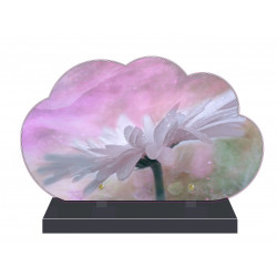 PLAQUE FUNÉRAIRE NUAGE 35 cm X 21 cm FLEURS FPF2248