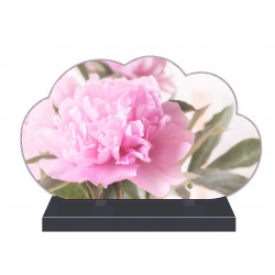 PLAQUE FUNÉRAIRE NUAGE 35 cm X 21 cm FLEURS PIVOINE FPF2268