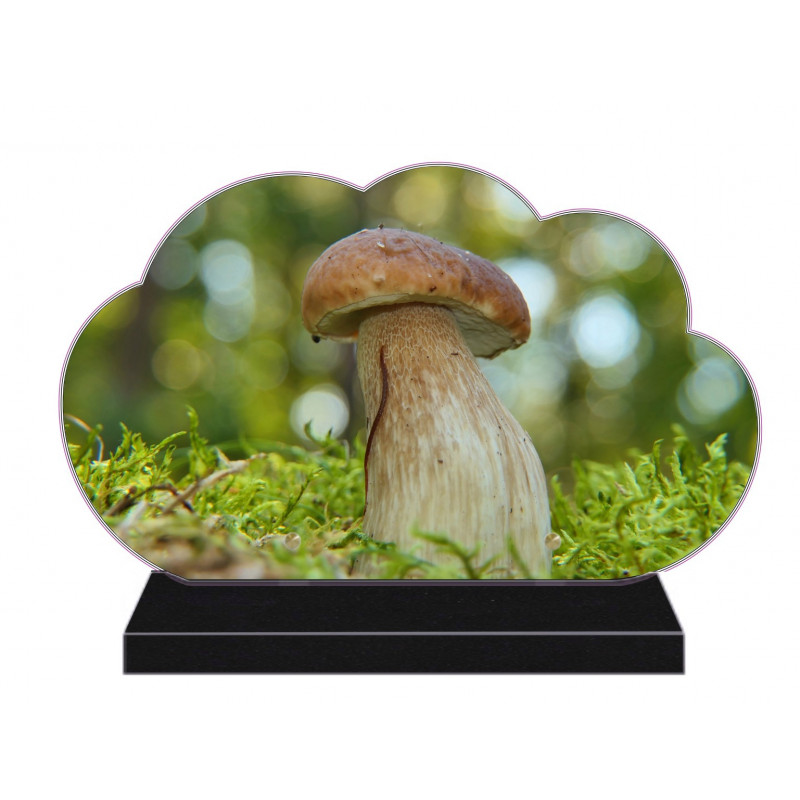 PLAQUE FUNÉRAIRE NUAGE 35 cm X 21 cm CHAMPIGNONS FPFNX308