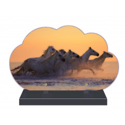 PLAQUE FUNÉRAIRE NUAGE 35 cm X 21 cm CHEVAUX SAUVAGES FPFW00317