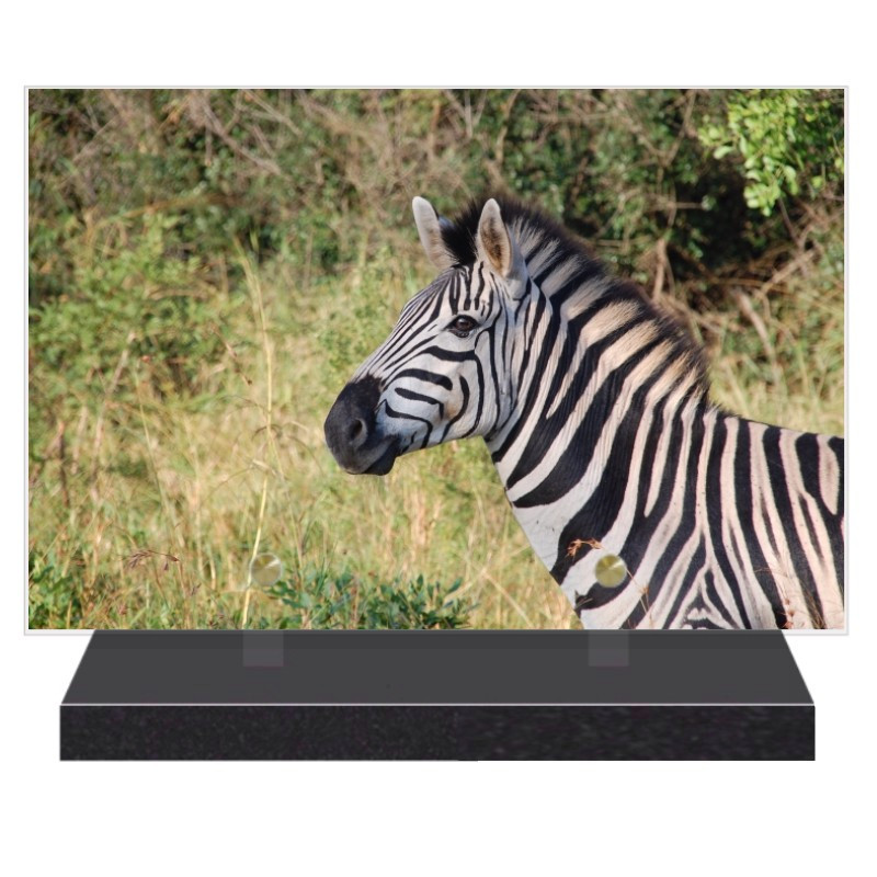 PLAQUE FUNÉRAIRE ANIMAUX ZEBRE 20 cm X 30 cm FPFNX108