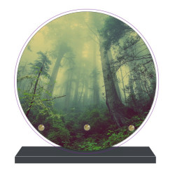 PLAQUE FUNÉRAIRE RONDE NATURE FORÊT 20 cm X 20 cm FPF2163