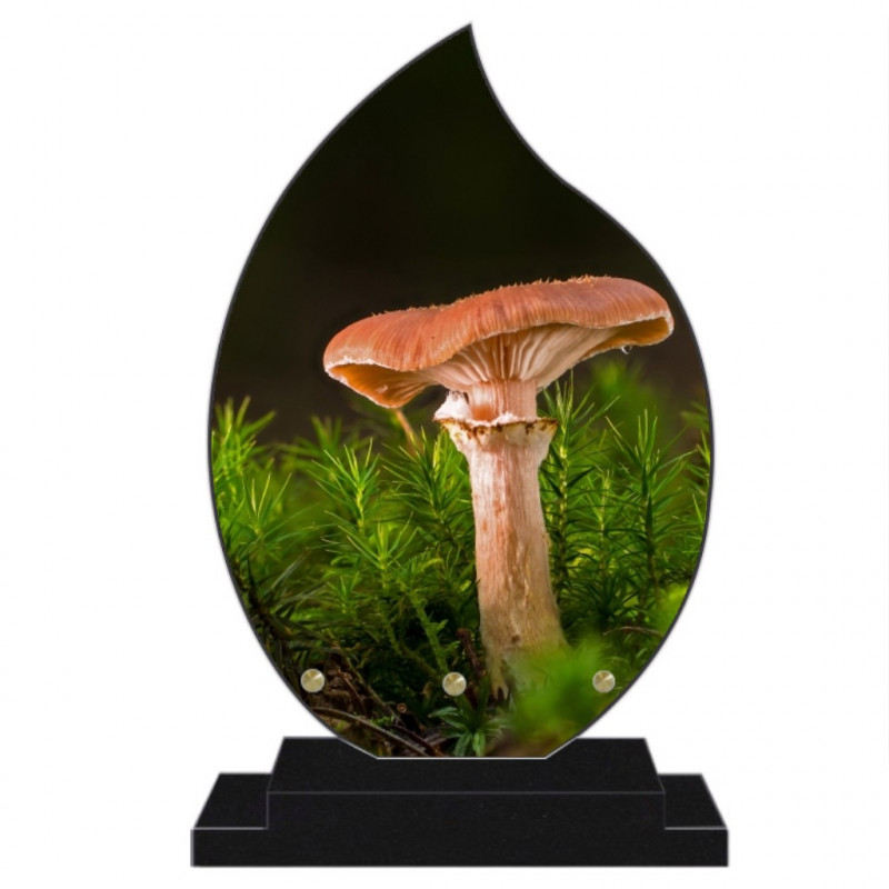 PLAQUE FUNÉRAIRE FLAMME CHAMPIGNONS 22 cm X 32 cm FPFNX302