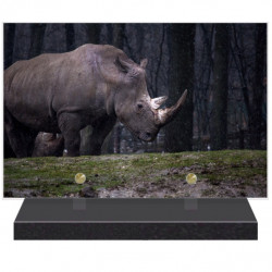 PLAQUE FUNÉRAIRE RHINOCÉROS 20 cm X 30 cm FPFNX114