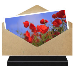 PLAQUE FUNÉRAIRE ENVELOPPE THÈME COQUELICOTS FPF2092