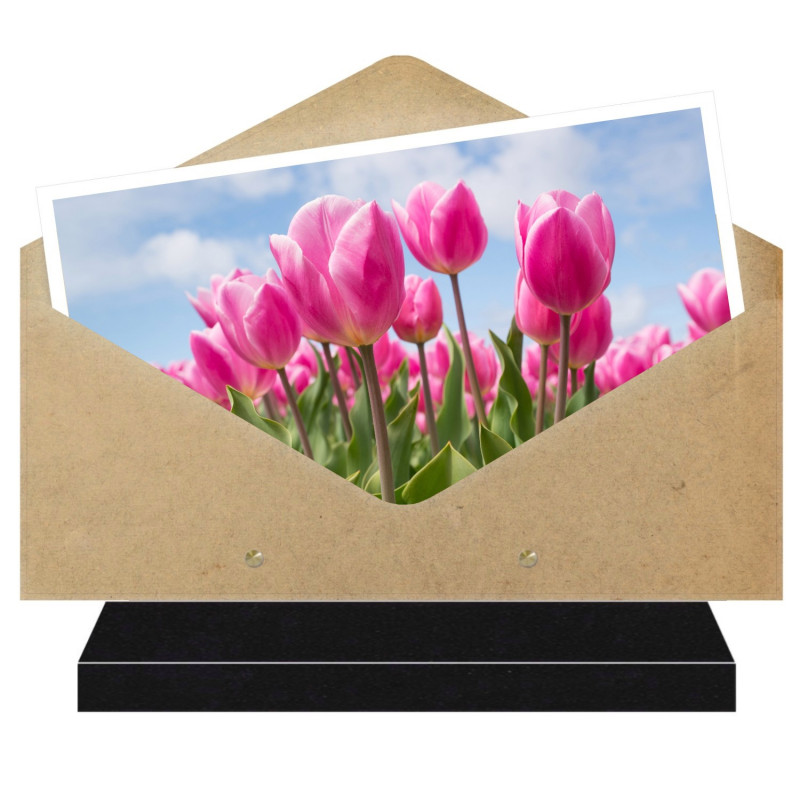 PLAQUE FUNÉRAIRE ENVELOPPE THÈME FLEURS TULIPES FPF2256