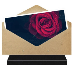 PLAQUE FUNÉRAIRE ENVELOPPE THÈME ROSE ROUGE FPFNX034