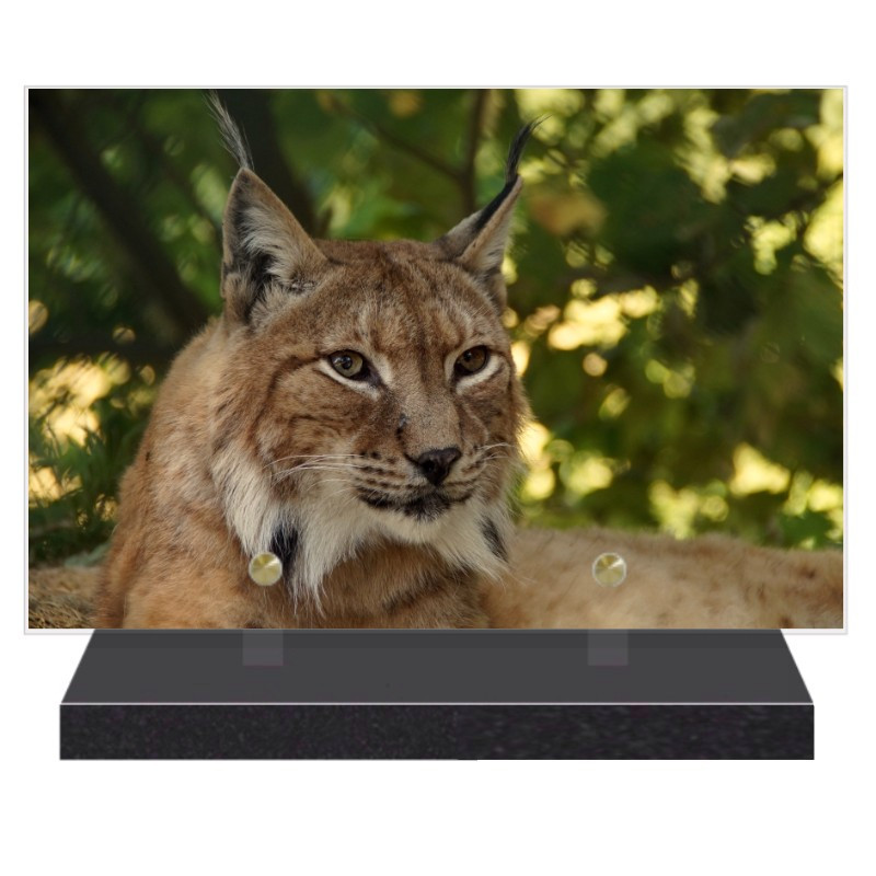 PLAQUE FUNÉRAIRE ANIMAUX LYNX 20 cm X 30 cm FPFNX123