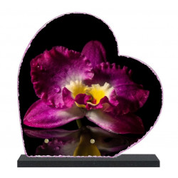 Plaque funéraire Coeur lave émaillée Fleurs Orchidée LE00152