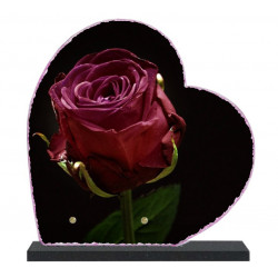 Plaque funéraire Coeur lave émaillée Rose LE00155
