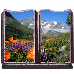 Plaque funéraire grand livre lave émaillée Montagne FPFLENX01