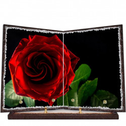 Plaque funéraire livre lave émaillée Rose Rouge FPFLE00073