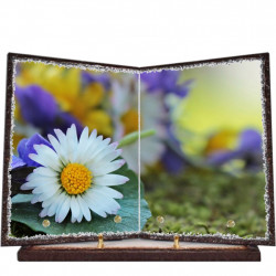 Plaque funéraire livre lave émaillée Fleurs FPFLE00041