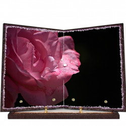 Plaque funéraire livre lave émaillée Rose FPFLE00083