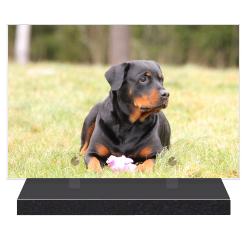 PLAQUE FUNÉRAIRE CHIEN ROTTWEILLER 20 cm X 30 cm FPFW00153