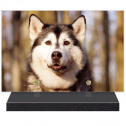 PLAQUE FUNÉRAIRE CHIEN MALAMUTE 20 cm X 30 cm FPFW00180