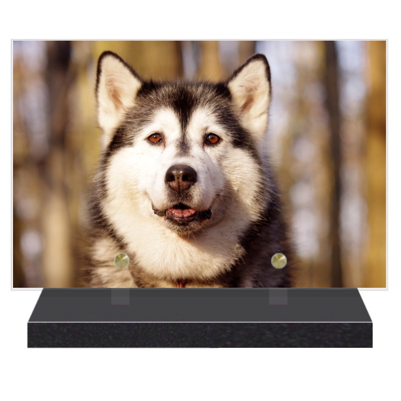 PLAQUE FUNÉRAIRE CHIEN MALAMUTE 20 cm X 30 cm FPFW00180