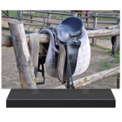 PLAQUE FUNÉRAIRE LOISIRS SELLE DE CHEVAL 20 cm X 30 cm FPFW00313