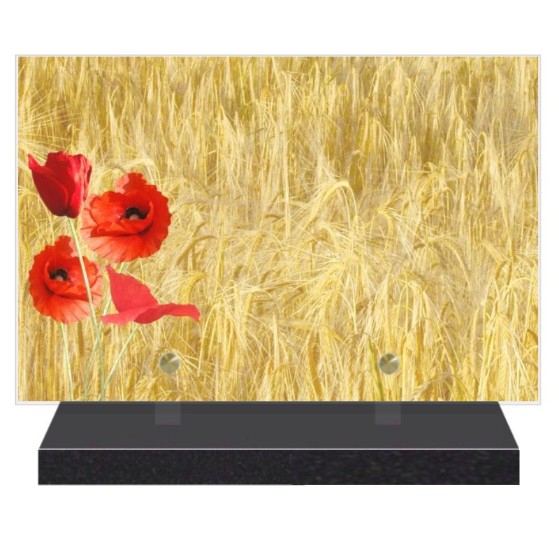 PLAQUE FUNÉRAIRE COQUELICOT 20 cm X 30 cm FPFW00411