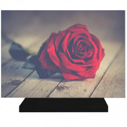 PLAQUE FUNÉRAIRE FLEURS ROSE ROUGE 25 cm X 35 cm FPF2023