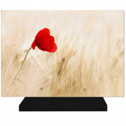 PLAQUE FUNÉRAIRE FLEURS COQUELICOT 25 cm X 35 cm FPF2090