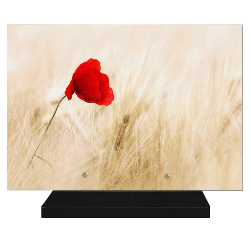 PLAQUE FUNÉRAIRE FLEURS COQUELICOT 25 cm X 35 cm FPF2090