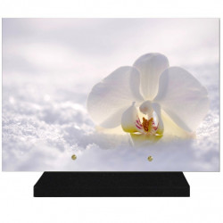 PLAQUE FUNÉRAIRE FLEURS ORCHIDÉE 25 cm X 35 cm FPF2096