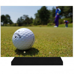 PLAQUE FUNÉRAIRE LOISIRS GOLF GOLFEUR 25 cm X 35 cm FPF10109