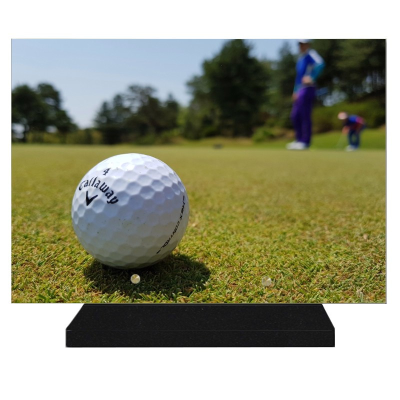 PLAQUE FUNÉRAIRE LOISIRS GOLF GOLFEUR 25 cm X 35 cm FPF10109