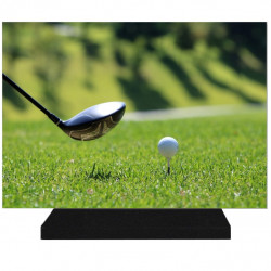 PLAQUE FUNÉRAIRE SPORTS GOLF GOLFEUR 25 cm X 35 cm FPF10112