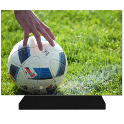 PLAQUE FUNÉRAIRE FOOTBALLEUR FOOTBALL 25 cm X 35 cm FPF10175