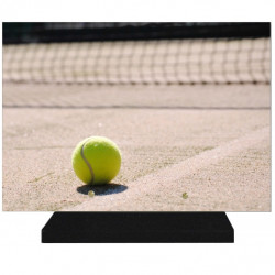 PLAQUE FUNÉRAIRE SPORTS TENNIS 25 cm X 35 cm FPF10307