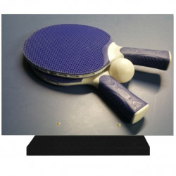 PLAQUE FUNÉRAIRE SPORTS TENNIS DE TABLE 25 cm X 35 cm FPF10309