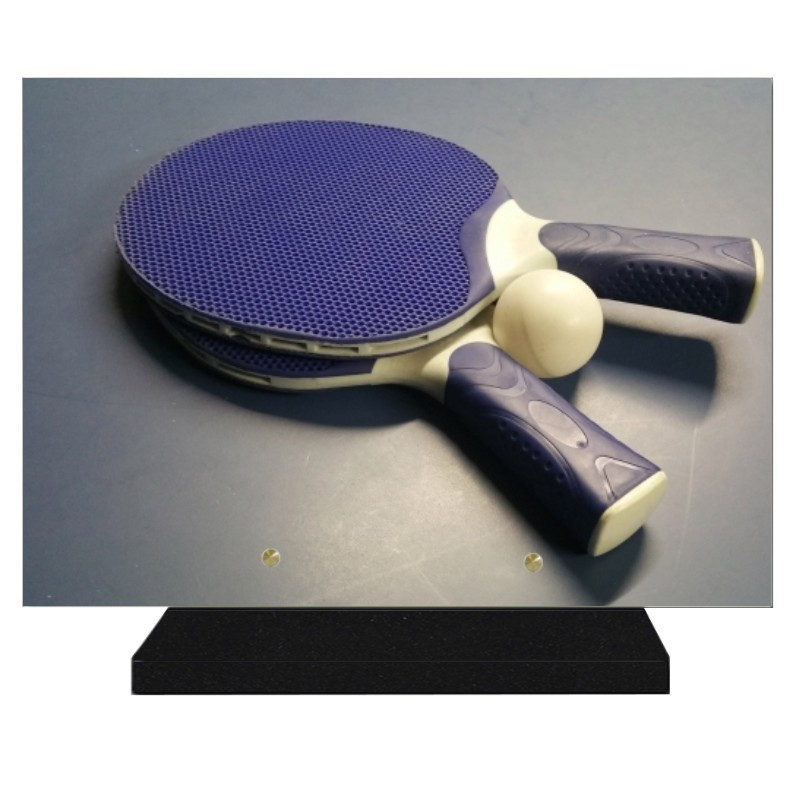 PLAQUE FUNÉRAIRE SPORTS TENNIS DE TABLE 25 cm X 35 cm FPF10309