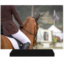 PLAQUE FUNÉRAIRE SPORTS LOISIRS ÉQUITATION 25 cm X 35 cm FPF10651