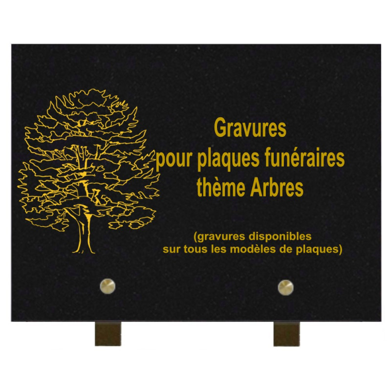 PLAQUE FUNÉRAIRE 20X30 GRANIT ARBRES SUR PIEDS