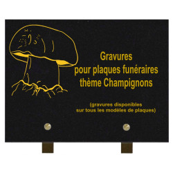 PLAQUE FUNÉRAIRE 20X30 GRANIT CHAMPIGNONS SUR PIEDS