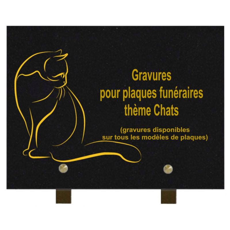 PLAQUE FUNÉRAIRE 20X30 GRANIT CHATS SUR PIEDS