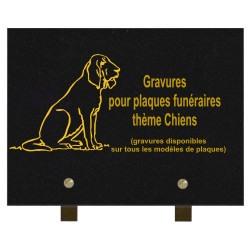 Plaque Attention au Chien - Plaques Chien émaillées personnalisées