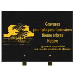 PLAQUE FUNÉRAIRE 25X35 ARBRES NATURE GRANIT SUR PIEDS