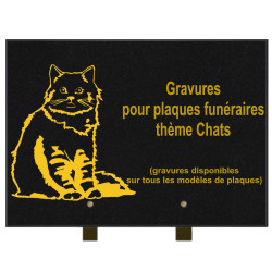 PLAQUE FUNÉRAIRE 25X35 CHATS GRANIT SUR PIEDS